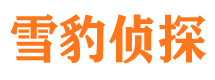 召陵市私家侦探